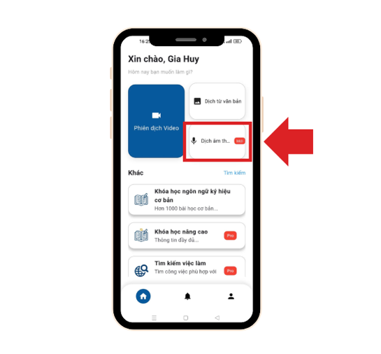 Voice Translation menu